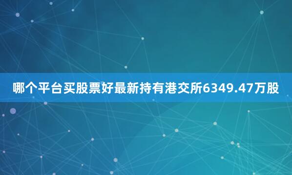 哪个平台买股票好最新持有港交所6349.47万股