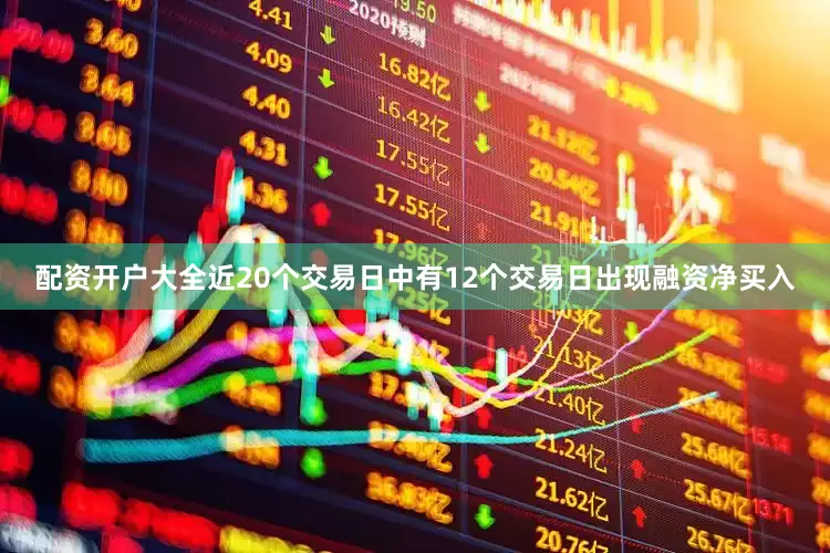 配资开户大全近20个交易日中有12个交易日出现融资净买入